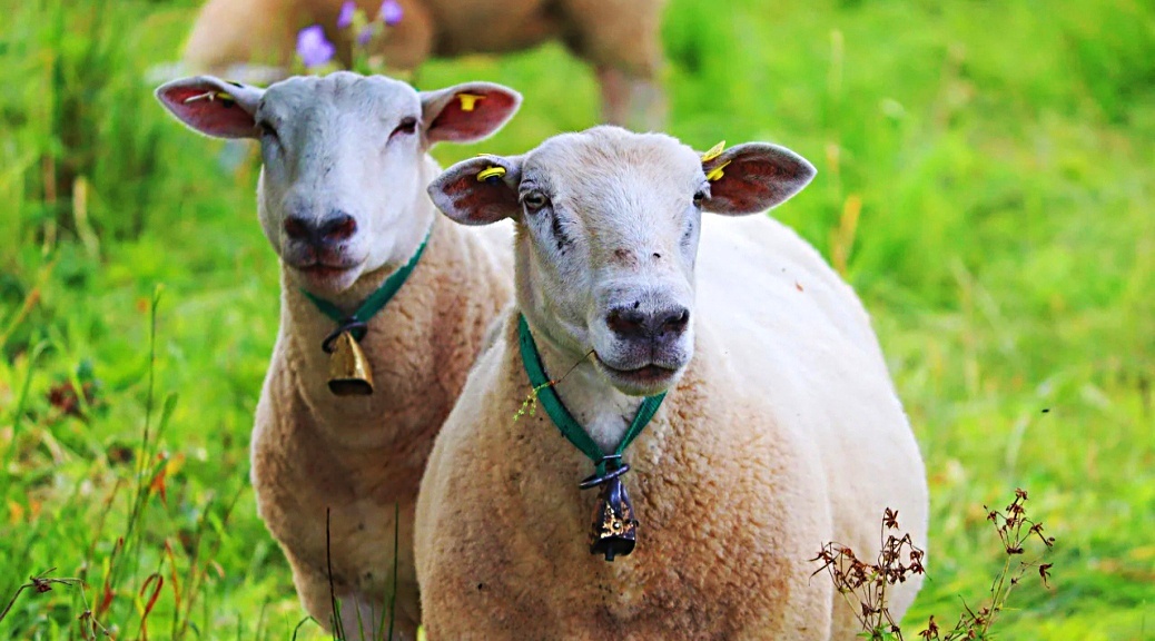 Weekly Roundup 211004