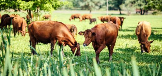 Weekly Roundup 211011