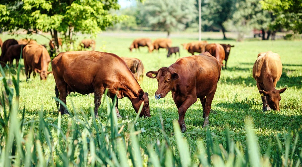 Weekly Roundup 211011