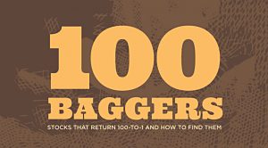 100 Baggers (100 Baggers)
