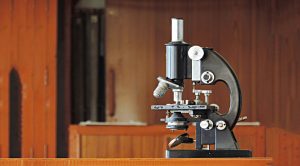 Finding Multi Baggers (Bessembinder 6 &ndash; Finding Multi-Baggers)