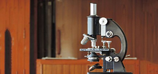 Finding Multi Baggers