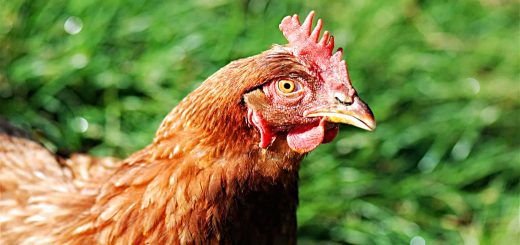 Weekly Roundup 211018