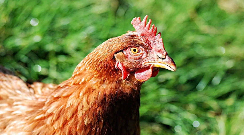 Weekly Roundup 211018