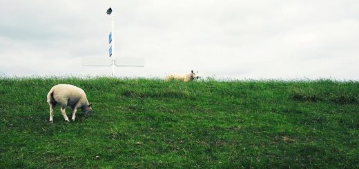 Weekly Roundup 211025