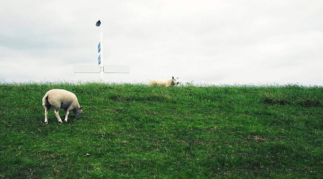 Weekly Roundup 211025