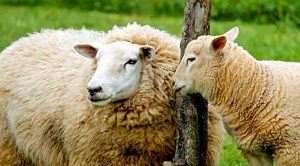 Weekly Roundup 211101 (Weekly Roundup, 1st November 2021)