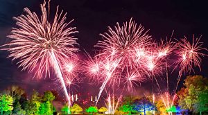 November 2021 (November 2021 &ndash; Trades, Tips and Funds)