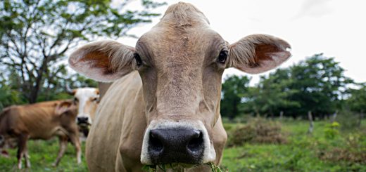 Weekly Roundup 211122