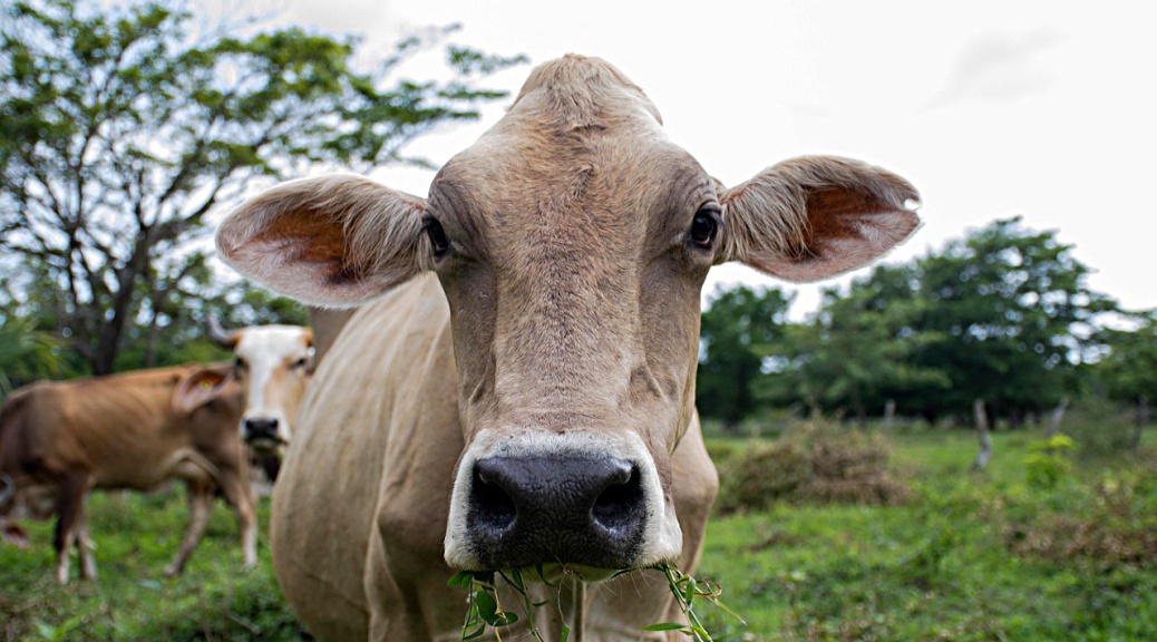 Weekly Roundup 211122