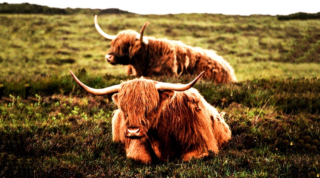 Weekly Roundup 211213