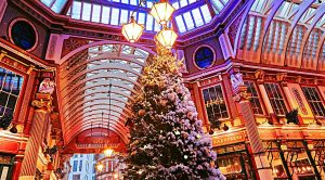 December 2021 (December 2021 &ndash; Trades, Tips and Funds)