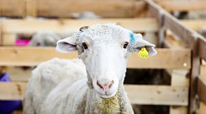 Weekly Roundup 211220 (Weekly Roundup, 21st December 2021)