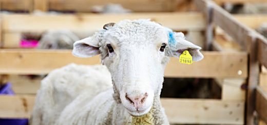 Weekly Roundup 211220