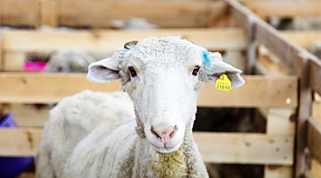 Weekly Roundup 211220