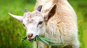 Weekly Roundup 211227 (Weekly Roundup, 27th December 2021)