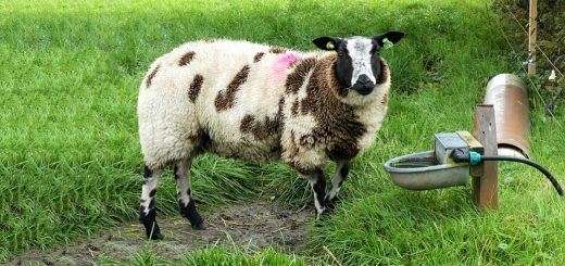 Weekly Roundup 220103