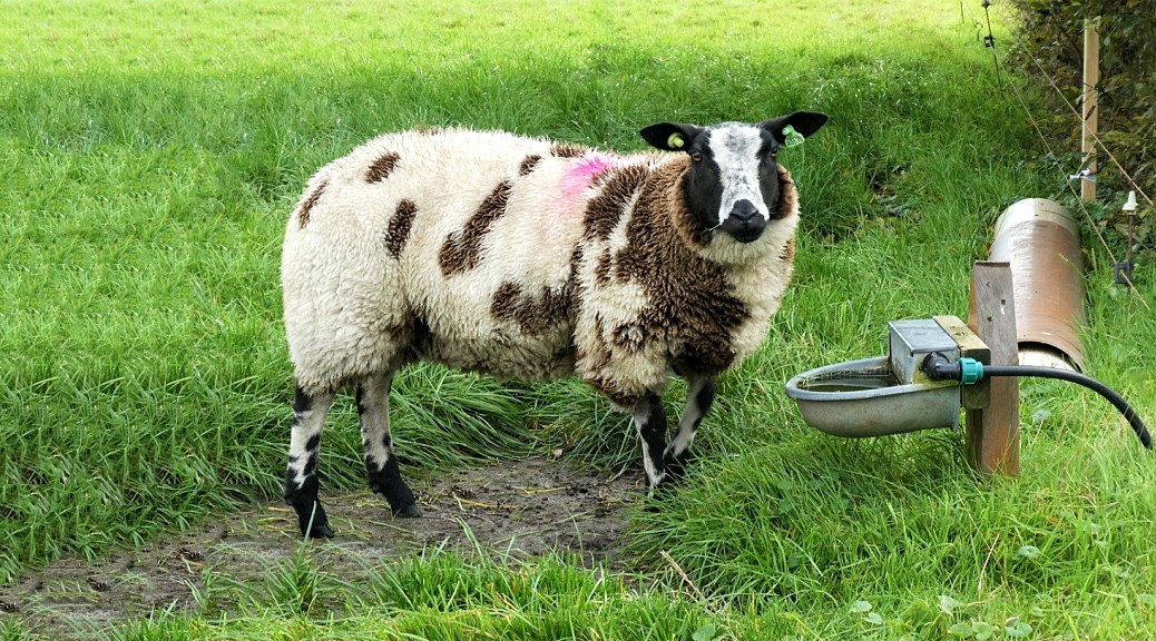 Weekly Roundup 220103