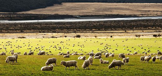 Weekly Roundup 220110