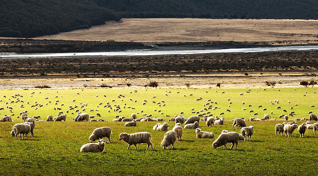 Weekly Roundup 220110