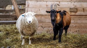 Weekly Roundup 220117 (Weekly Roundup, 17th January 2022)