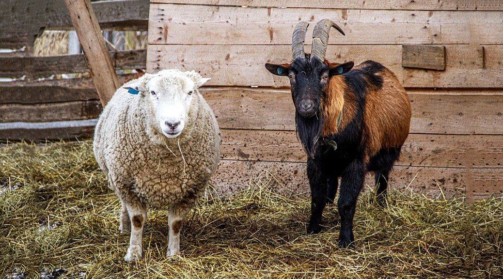 Weekly Roundup 220117