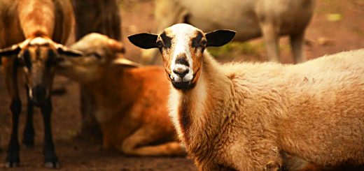 Weekly Roundup 220124