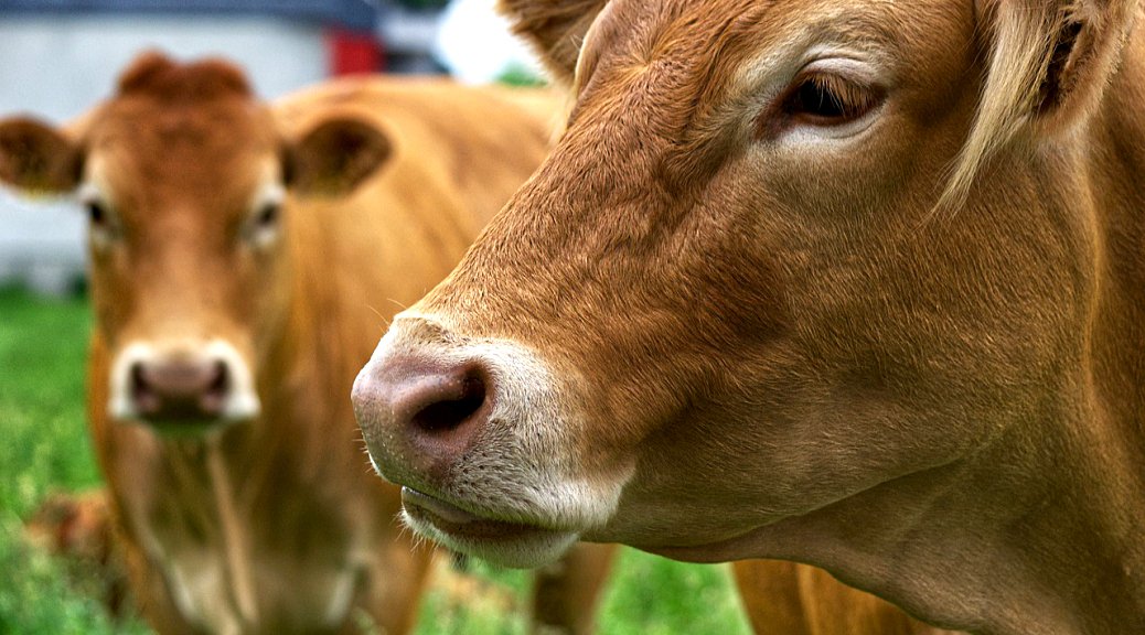 Weekly Roundup 220131