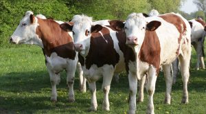 Weekly Roundup 220207 (Weekly Roundup, 7th February 2022)