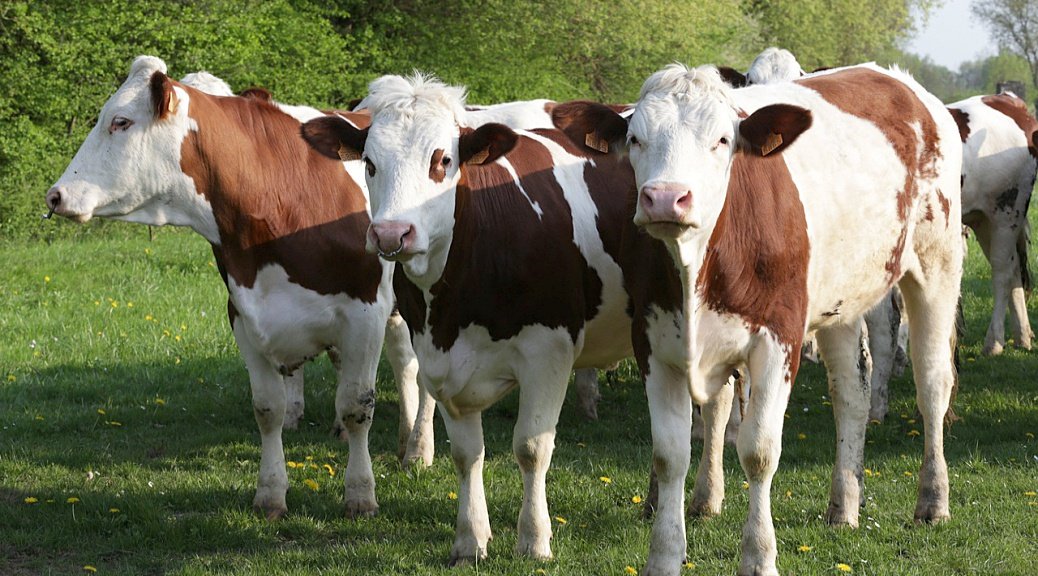 Weekly Roundup 220207