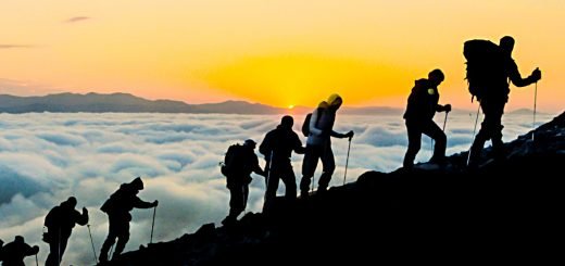 Alternatives in DC pensions