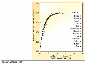 Universal growth curve