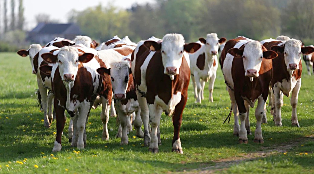 Weekly Roundup 220214