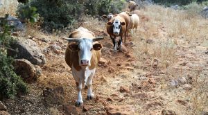 Weekly Roundup 220228 (Weekly Roundup, 28th February 2022)