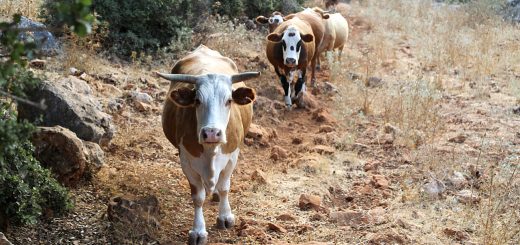 Weekly Roundup 220228