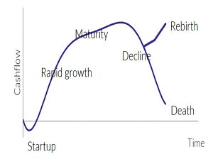 Company lifecycle