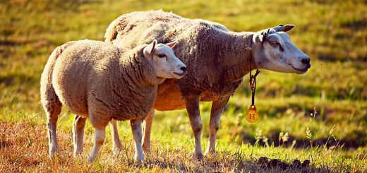 Weekly Roundup 220314