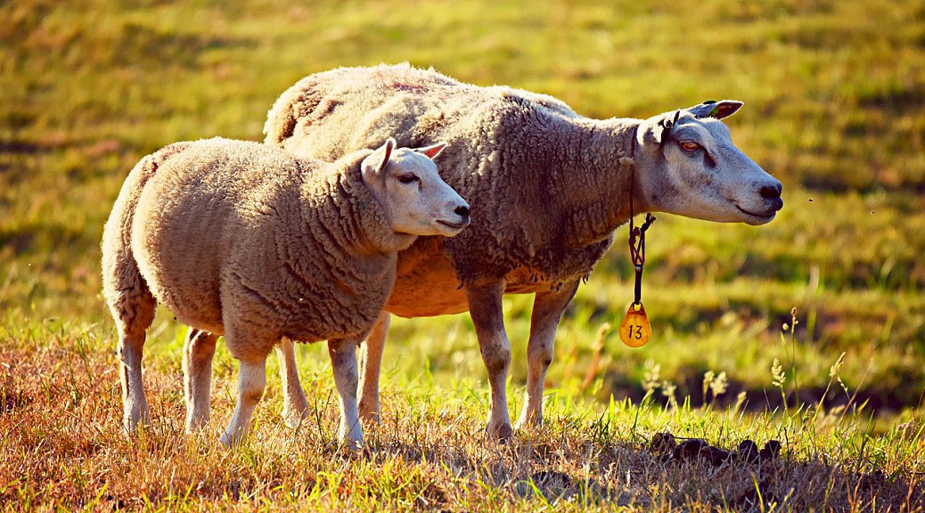 Weekly Roundup 220314