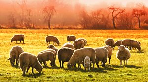 Weekly Roundup 220328 (Weekly Roundup, 28th March 2022)