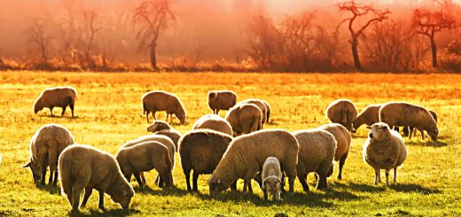 Weekly Roundup 220328