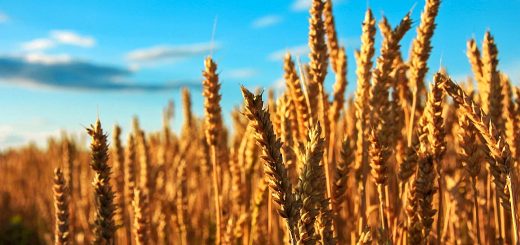 Stock Screeners April 2022