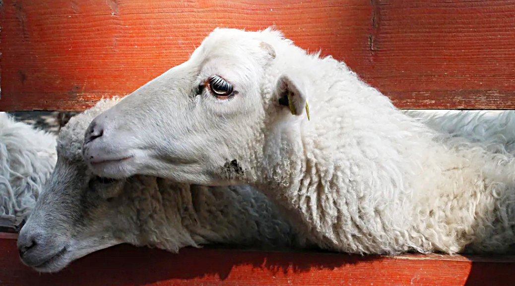 Weekly Roundup 220411