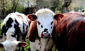 Weekly Roundup 220418 (Weekly Roundup, 19th April 2022)