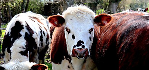 Weekly Roundup 220418