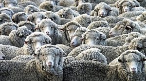 Weekly Roundup 220425 (Weekly Roundup, 25th April 2022)