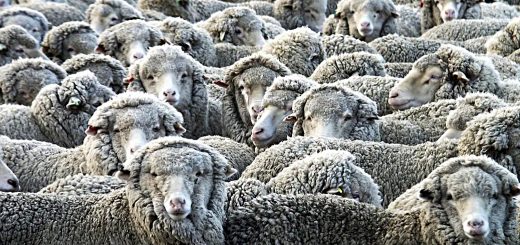 Weekly Roundup 220425