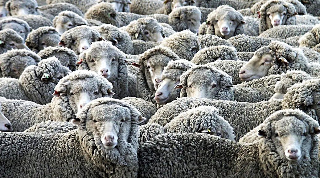 Weekly Roundup 220425