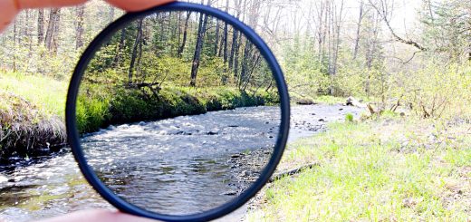 Rabener VM Stock Screen