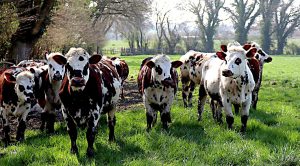 Weekly Roundup 220502 (Weekly Roundup, 3rd May 2022)