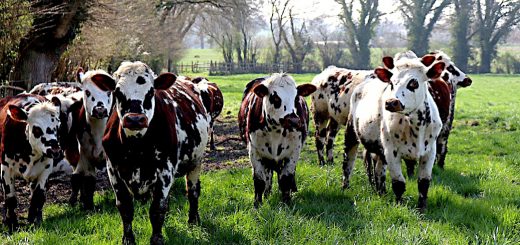 Weekly Roundup 220502